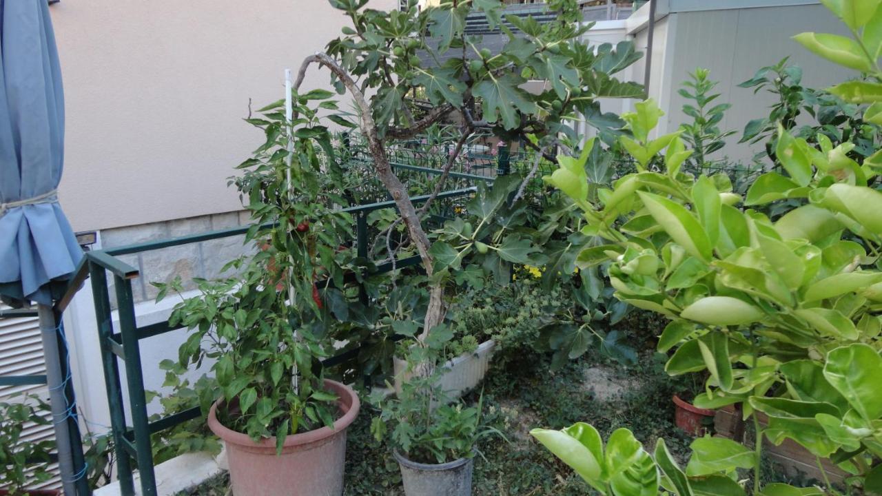 Apartman Paro สปลิท ภายนอก รูปภาพ