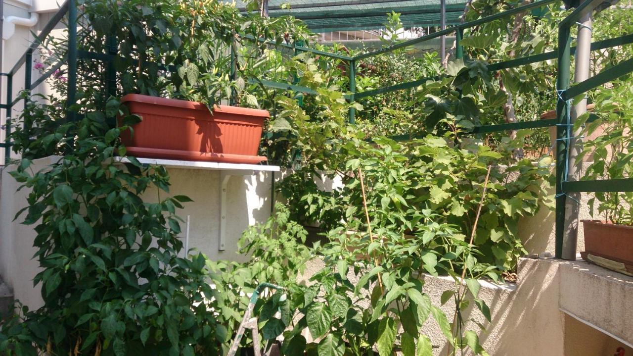 Apartman Paro สปลิท ภายนอก รูปภาพ